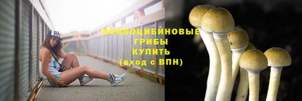 гидропоника Верея
