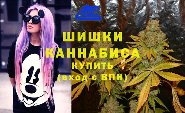 гидропоника Верея