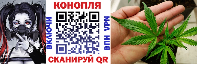 Канабис сатива  Калач-на-Дону 